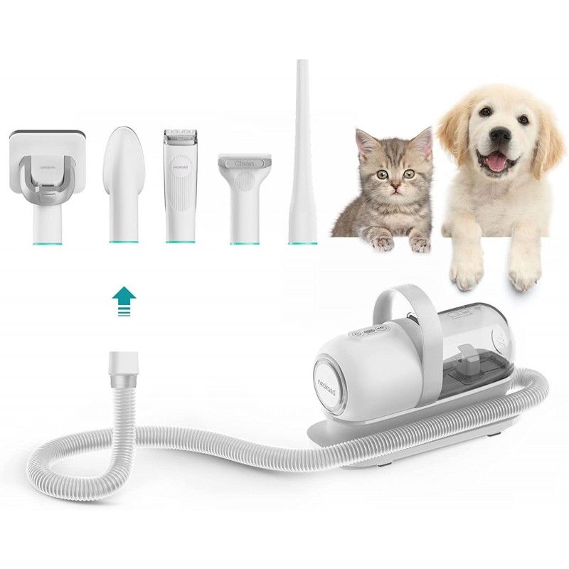 Kit de toilettage pour chien et aspirateur de poils d'animaux à faible  bruit 