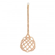 Accessoires pour nettoyeurs tapis et moquettes